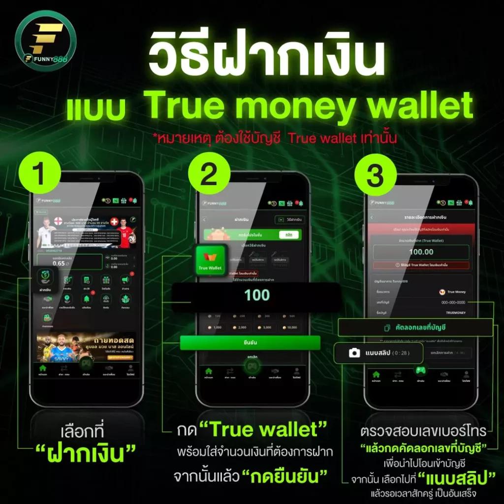 สล็อต ฝาก ถอน true wallet ระบบใหม่ รวดเร็ว ปลอดภัย 2024