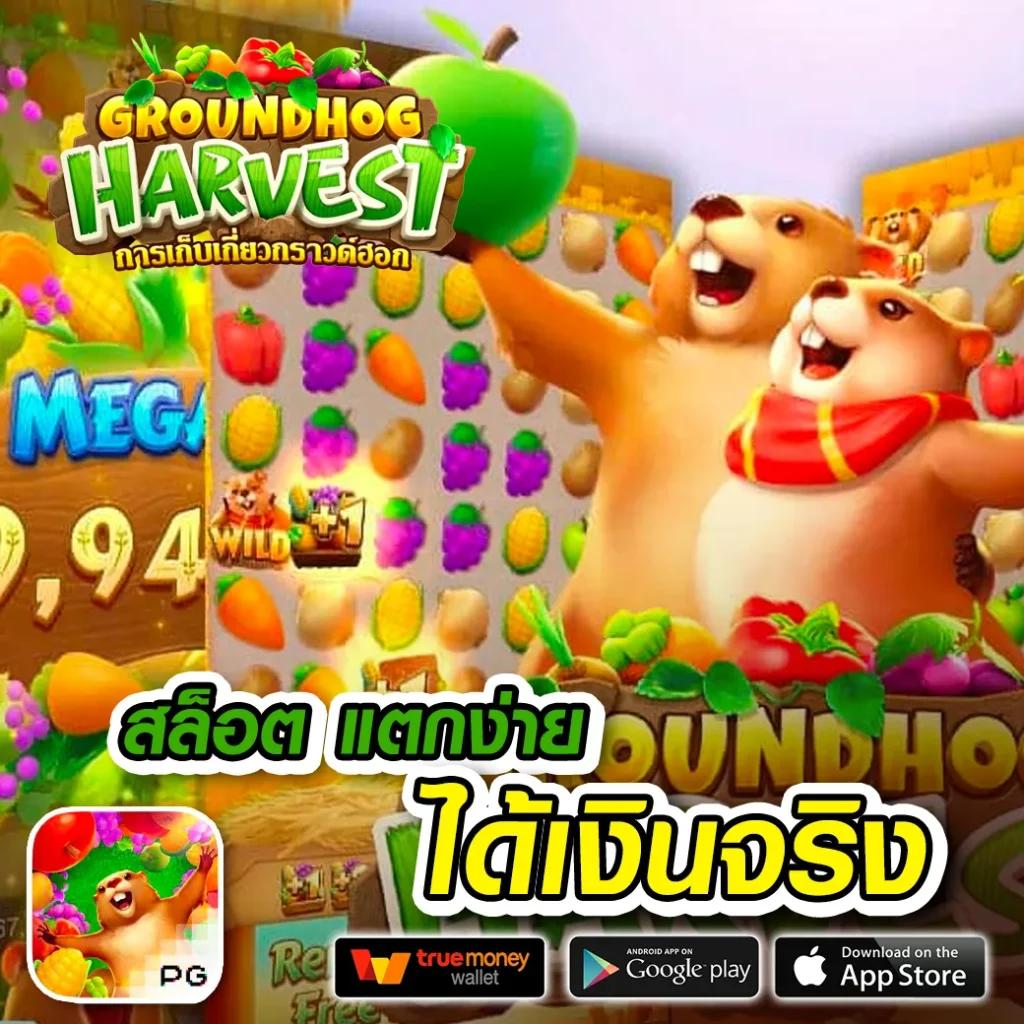 หวยออนไลน์ cat888 pantip เว็บตรงใหม่ล่าสุด เดิมพันง่ายได้เงินจริง