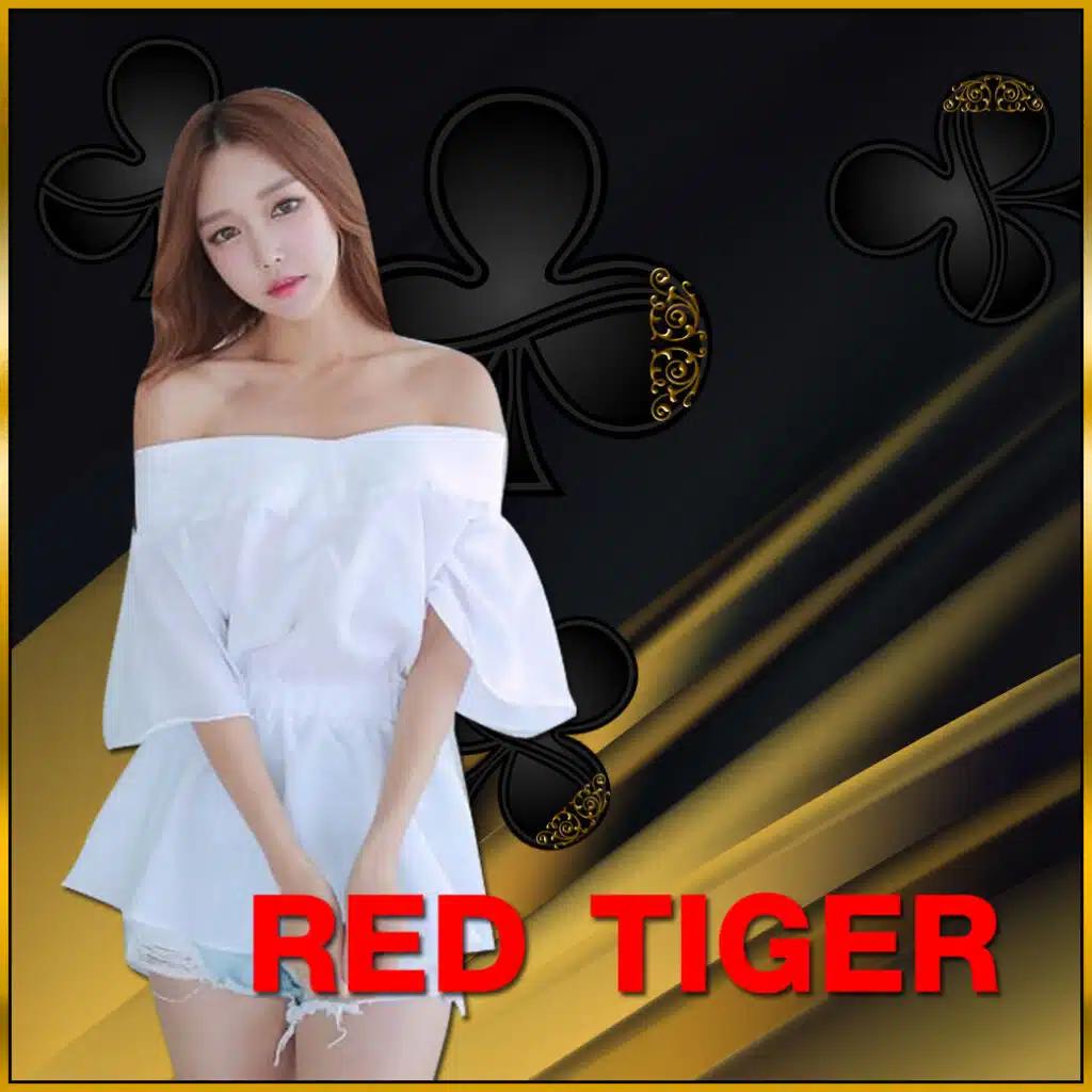 เครดิตฟรีล่าสุด เปิดโอกาสทำกำไรได้ง่ายๆ เล่นฟรีทุกวัน